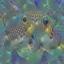 n02655020